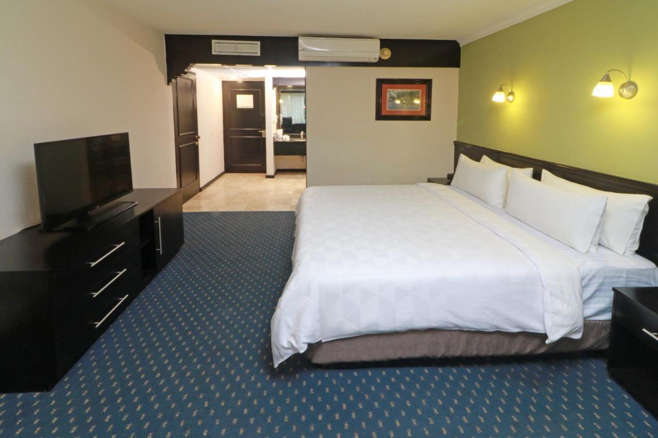 Holiday Inn San Luis Potosi-Quijote By Ihg Bagian luar foto